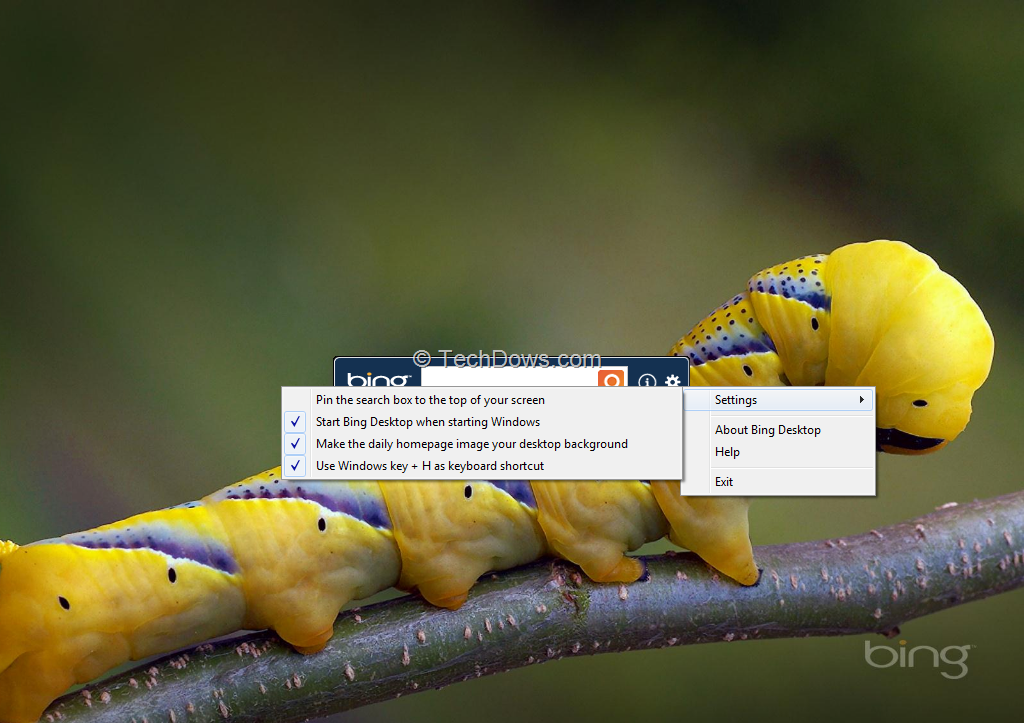 Bing Desktop makes Bings daily homepage image as desktop background
