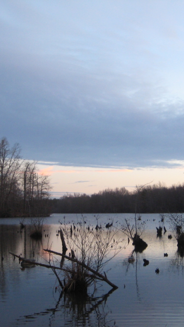 Sitting Duck Check Out Ducks Unlimiteds Hunt