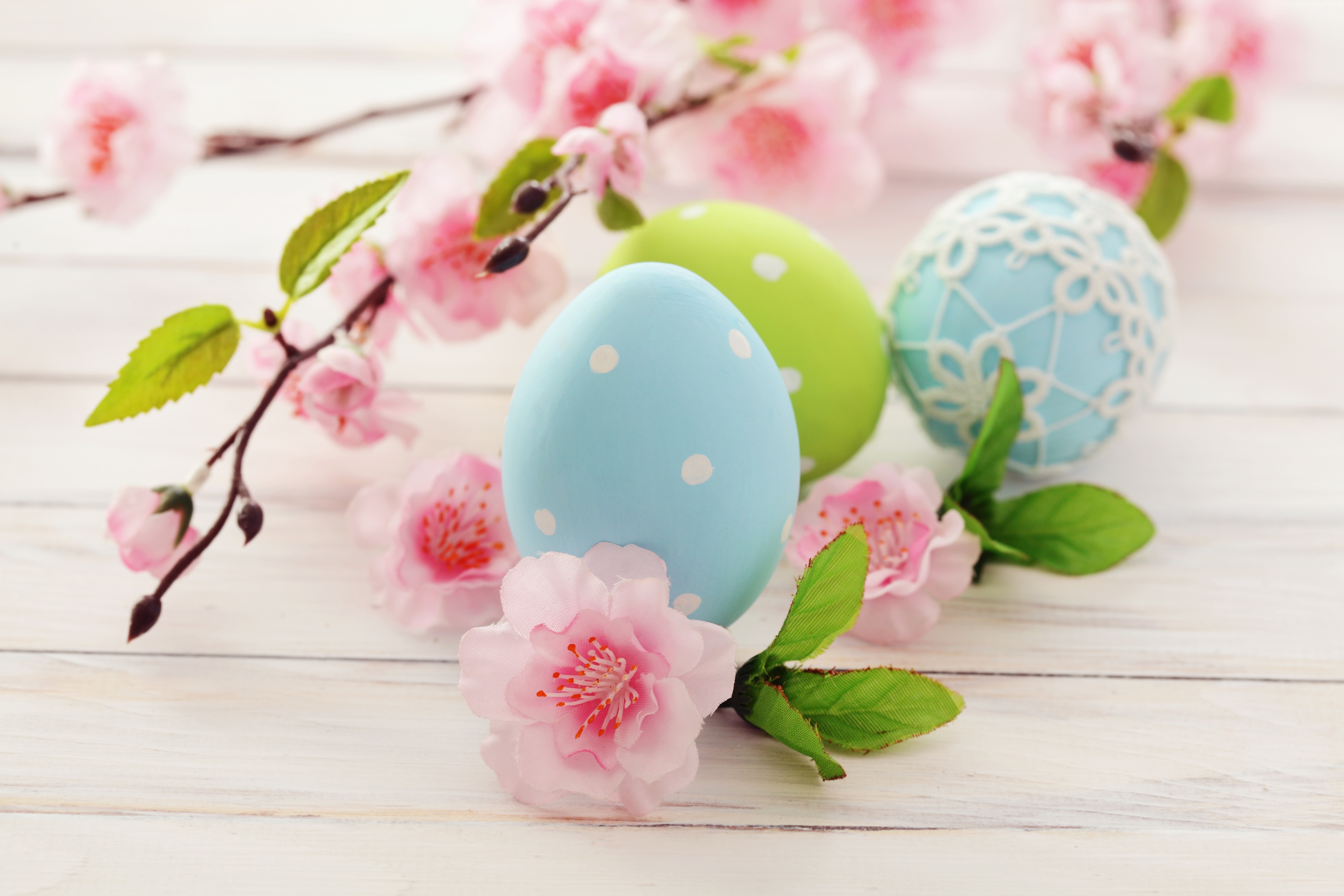 Eggs Flowers Easter Branch Holidays Wallpaper And
