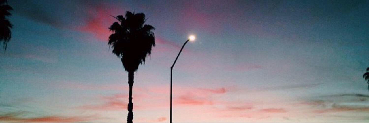 Background Cali Header Palm Trees Sky Sunset