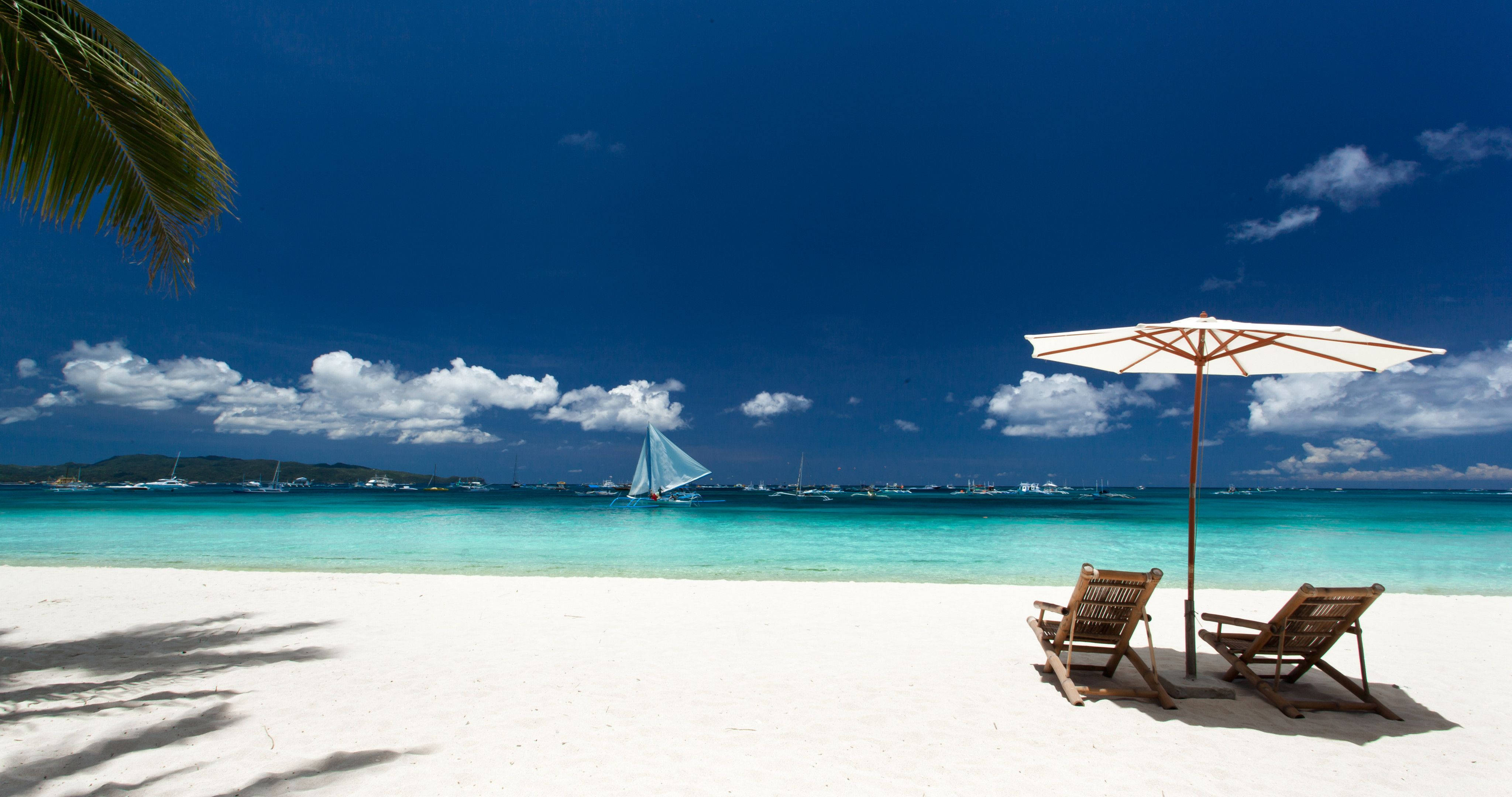 Tropical Paradise Wallpaper