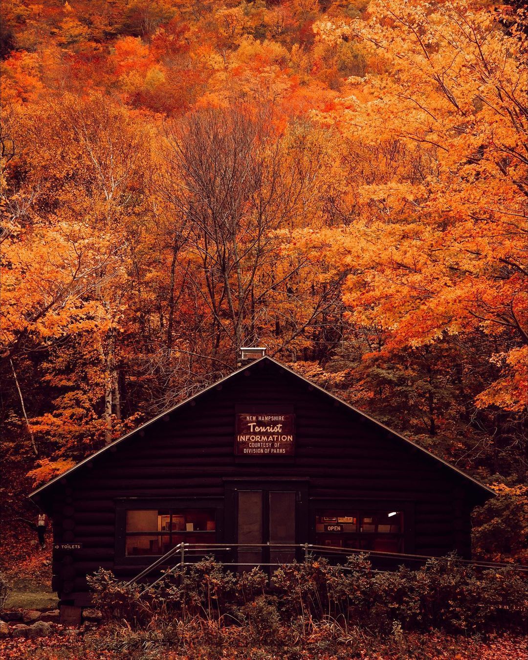 Picture Fall Wallpaper