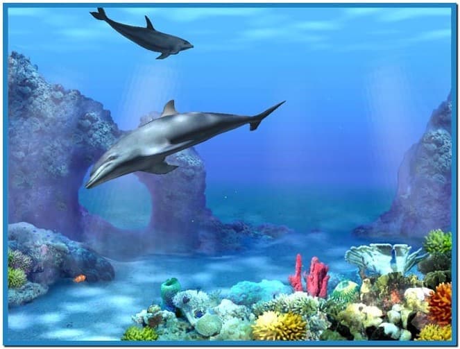 Microsoft dolphin screensaver   Download free