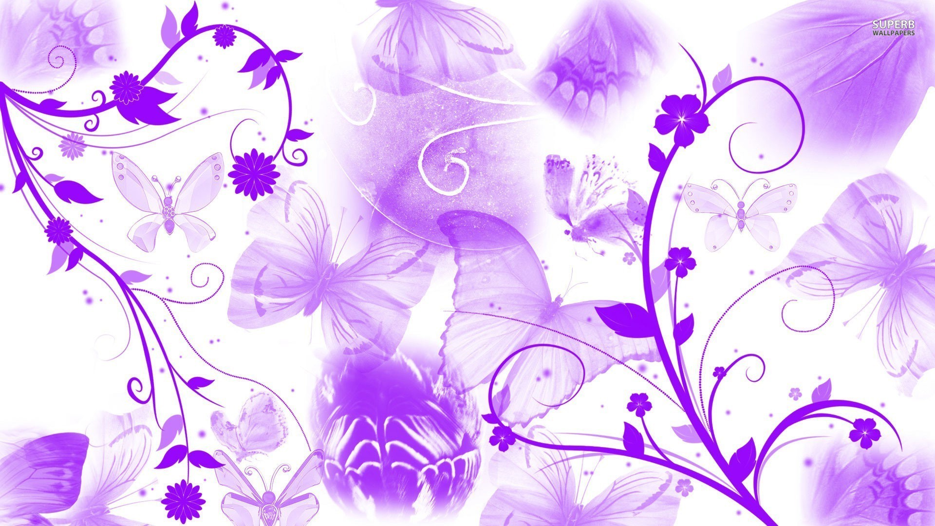 74+ Purple Butterfly Wallpaper on WallpaperSafari