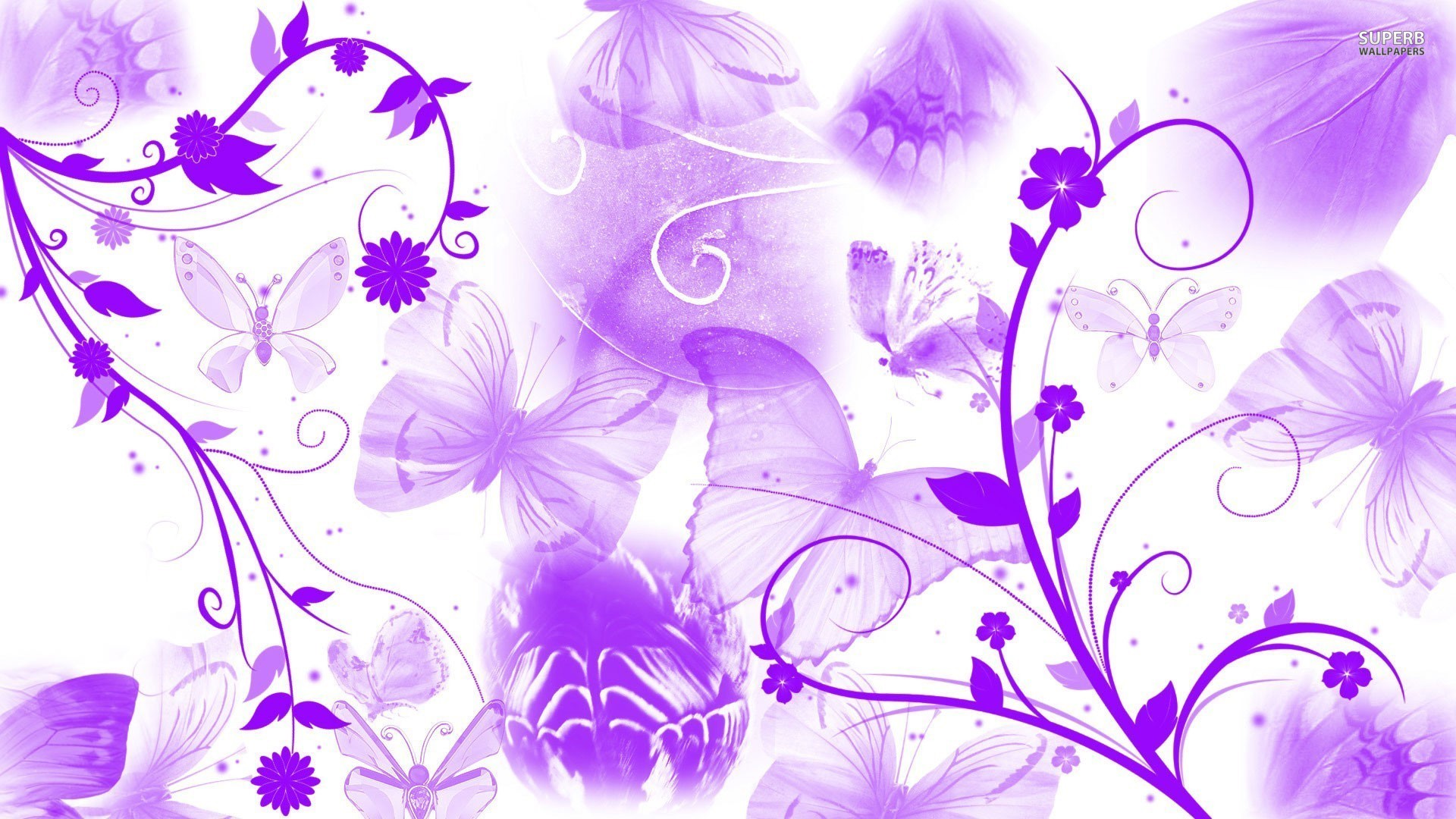 Pics Photos Purple Butterfly Wallpaper HD