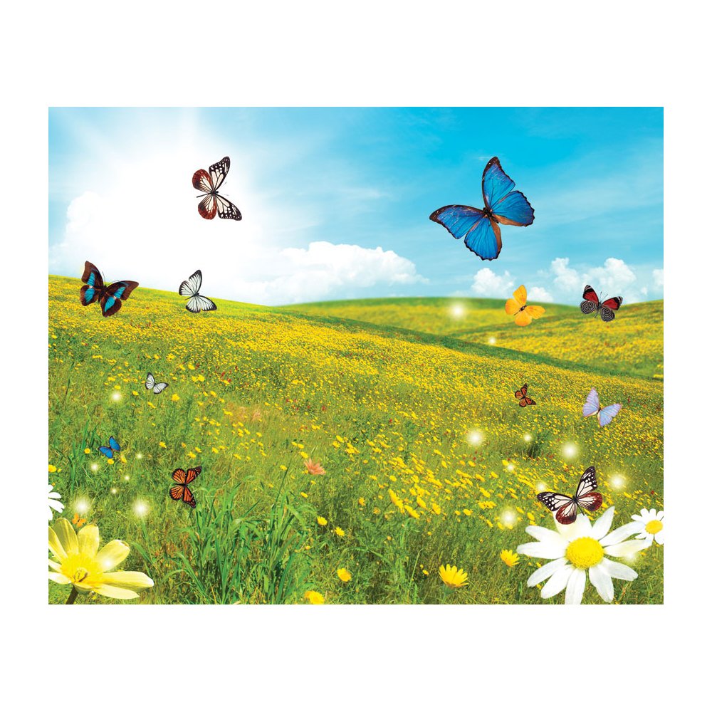  Butterfly Field Removable Full Wall Wallpaper Mural Lowes Canada
