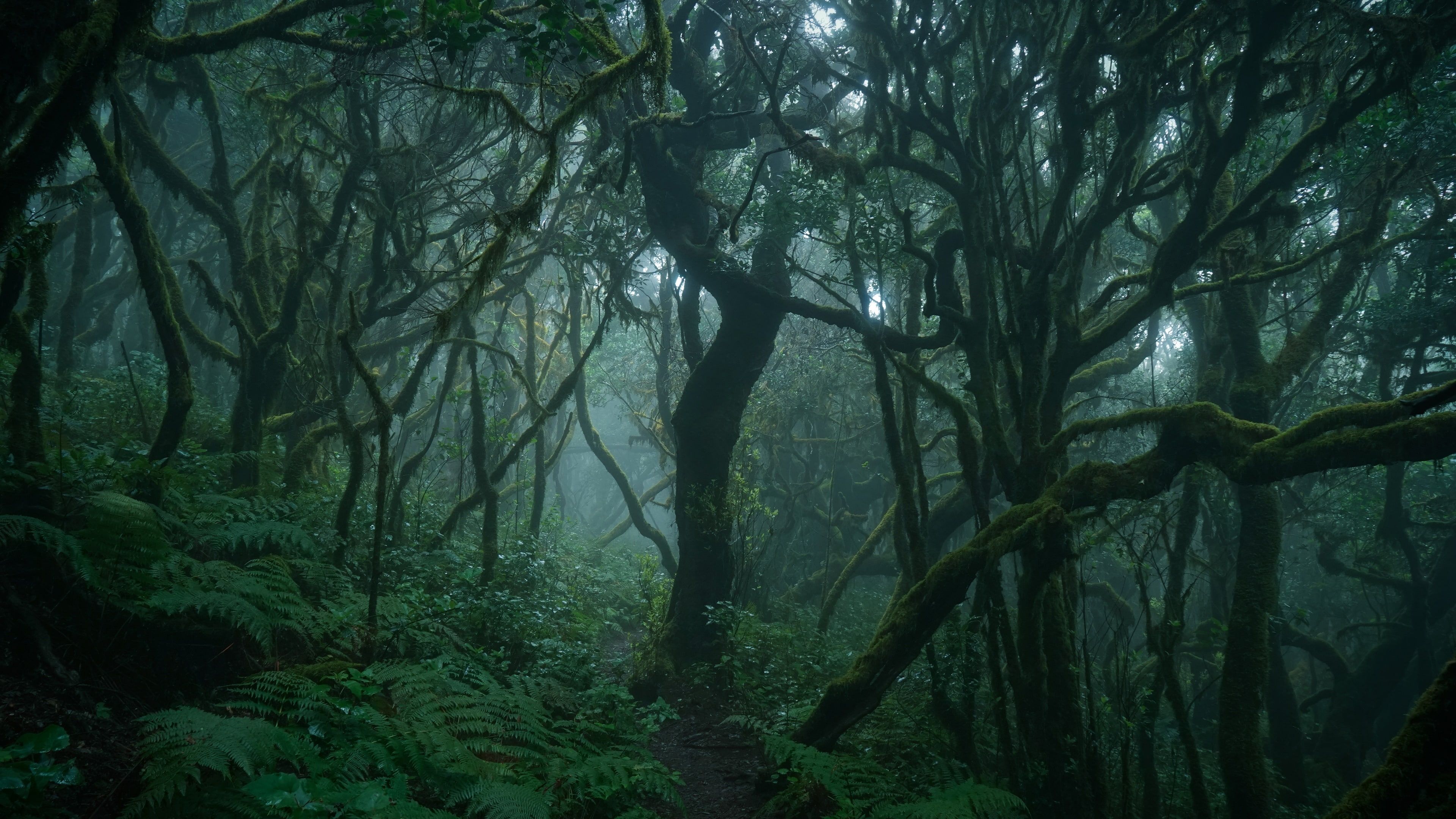 Green Forest Wallpaper