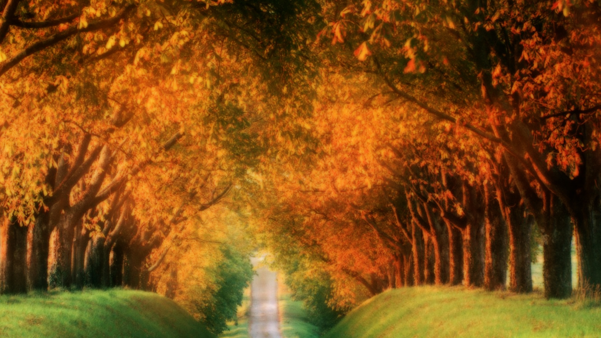 Fall Wallpaper HD