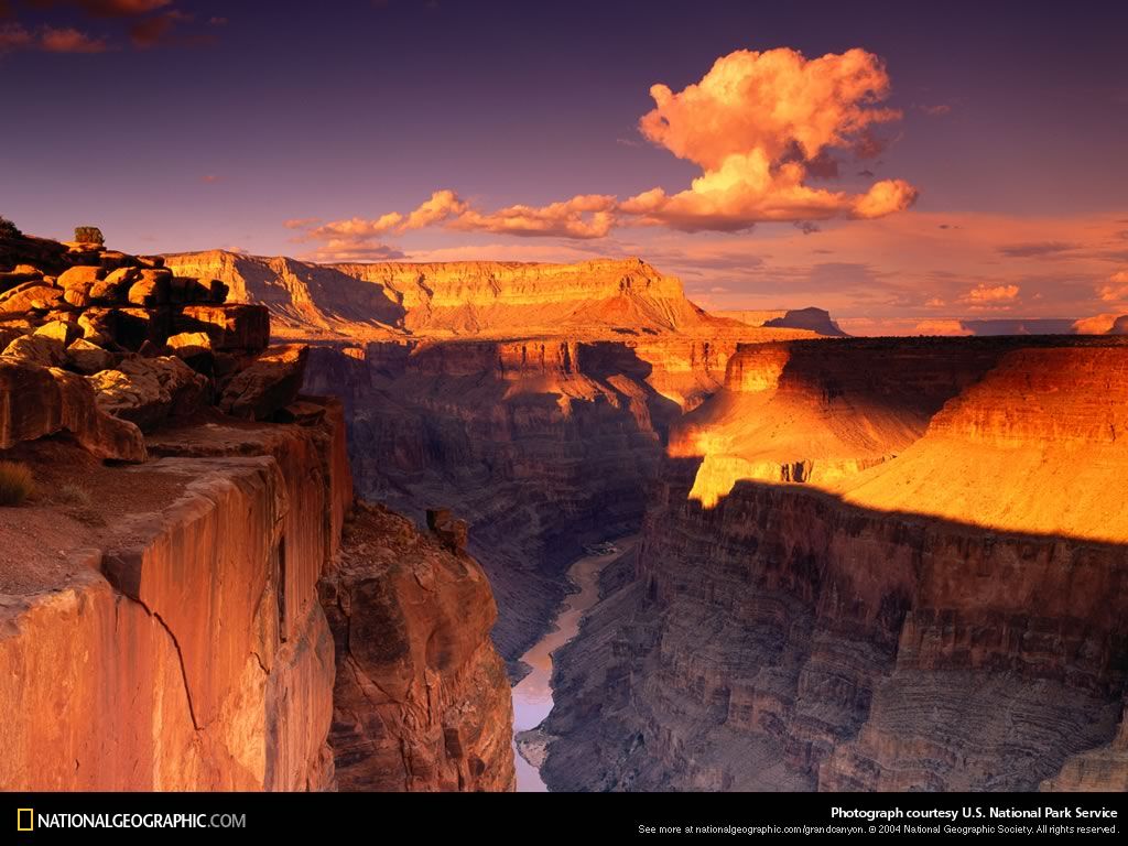 Grand Canyon Skywalk Wallpaper