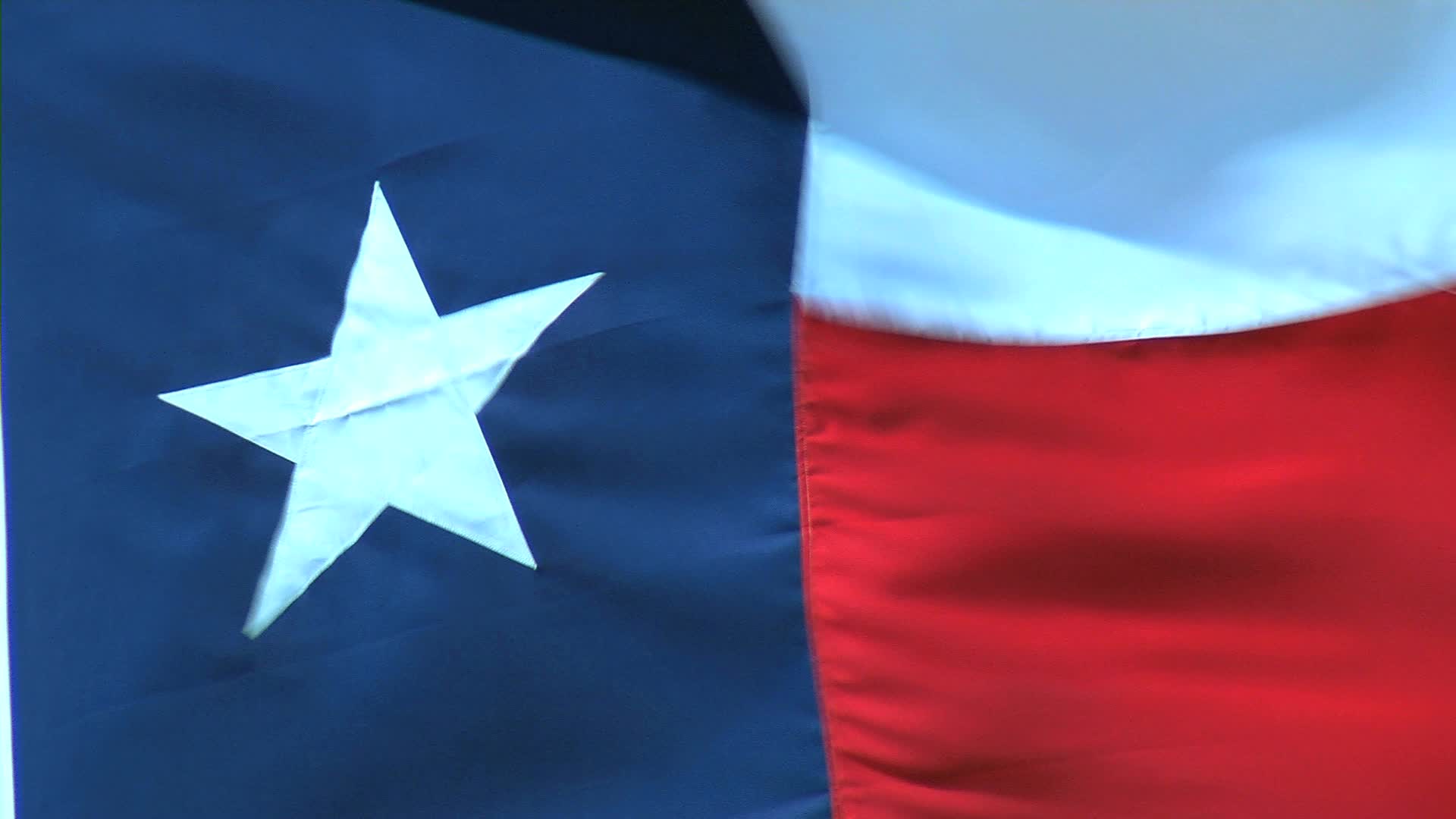 Texas Flag Pond Stock