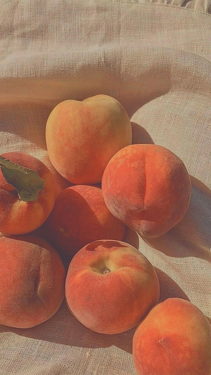 Mabelpeach On Aesthetics Wallpaper