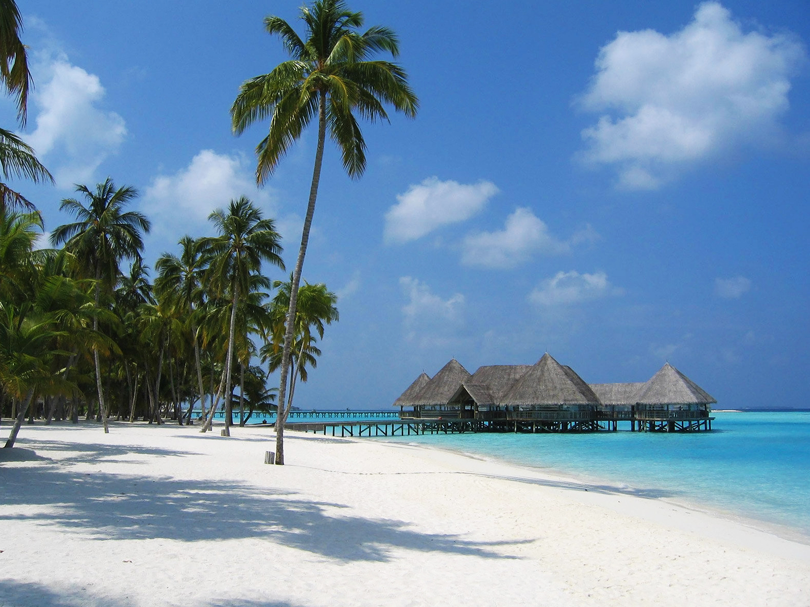 Maldives Beach Bungalows