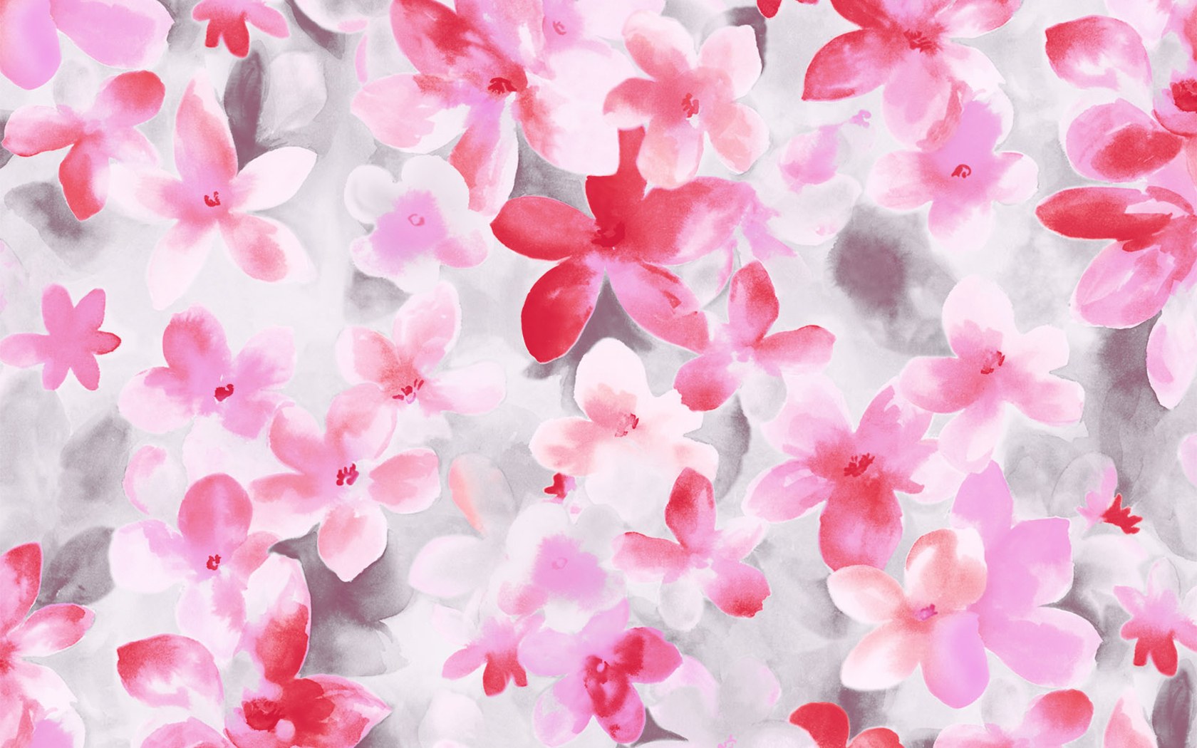 HD Flower Illustrations Design Floral Patterns