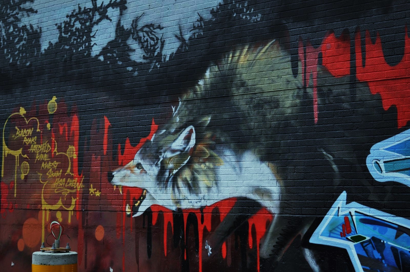 Wolf in Graffiti Art wallpaper   ForWallpapercom