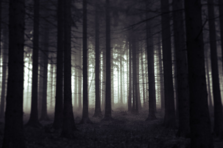 Scary Forest By Jeaa