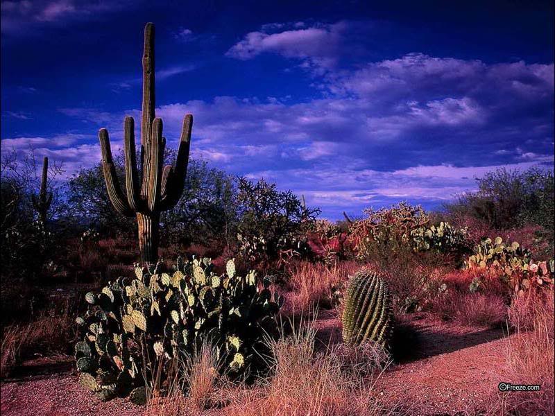 Deserts Arizona Desert Theme With Resolutions Pixel