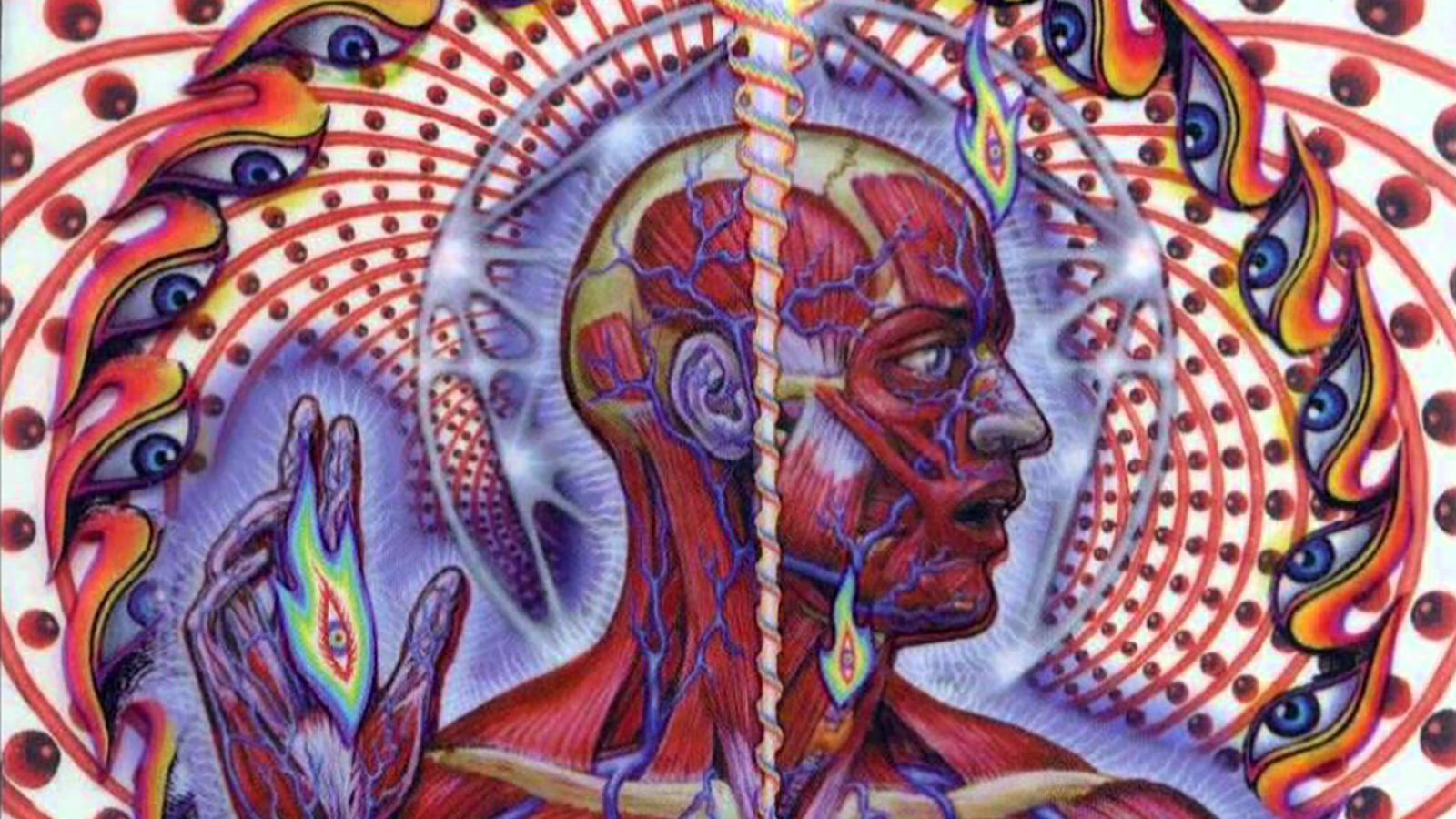 Things You Didn T Know About Tool S Lateralus Revolver