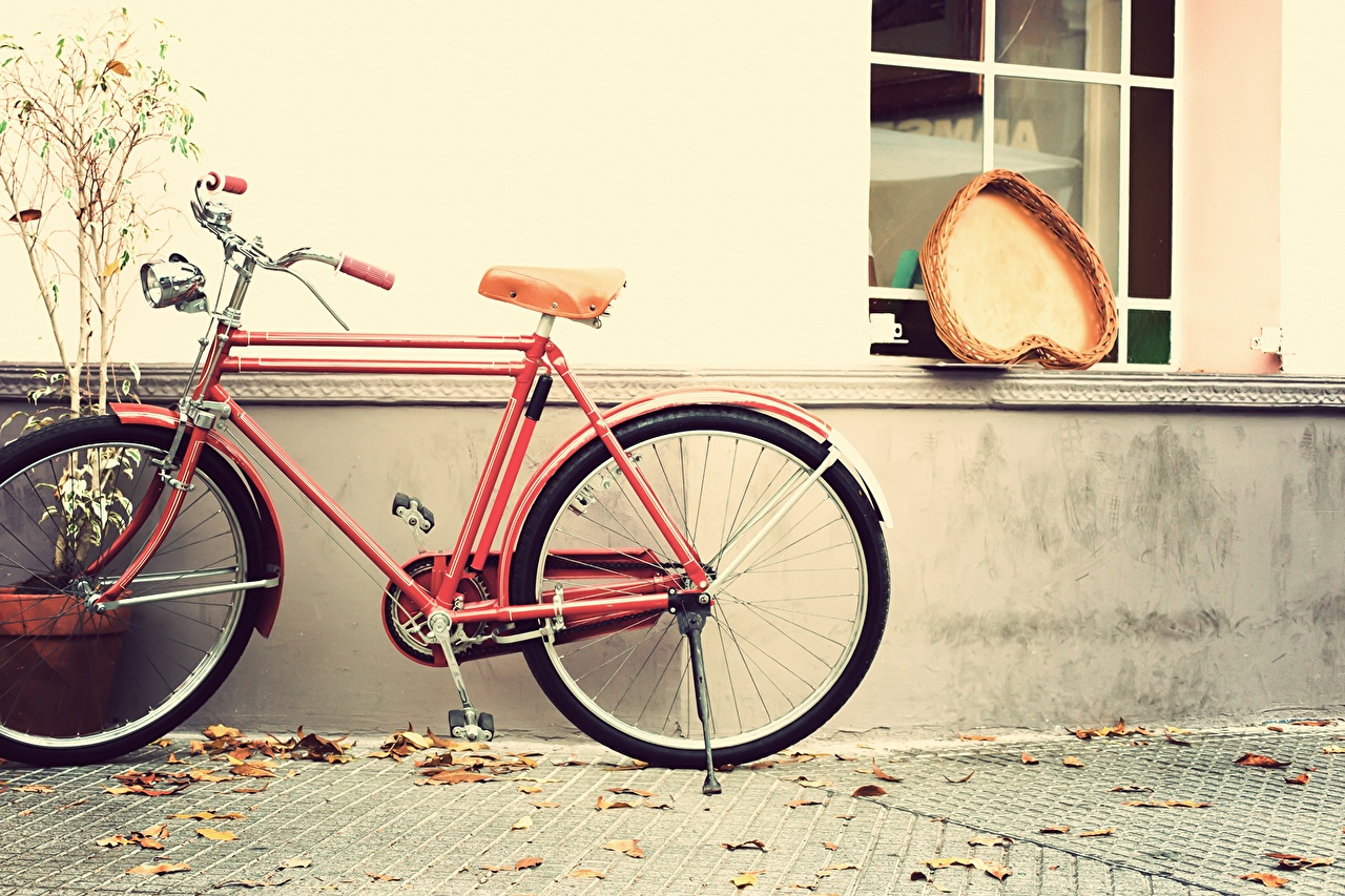 Wallpaper Heart Bicycle Autumn