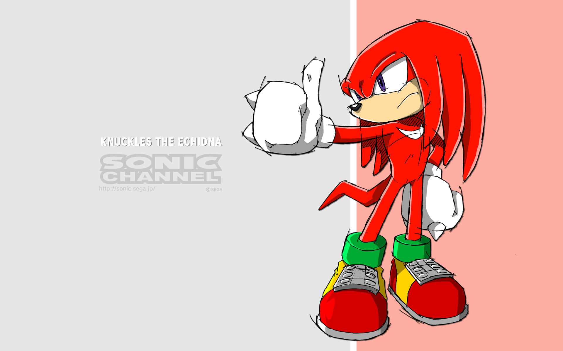 Knuckles The Echidna Giving Thumbs Wallpaper