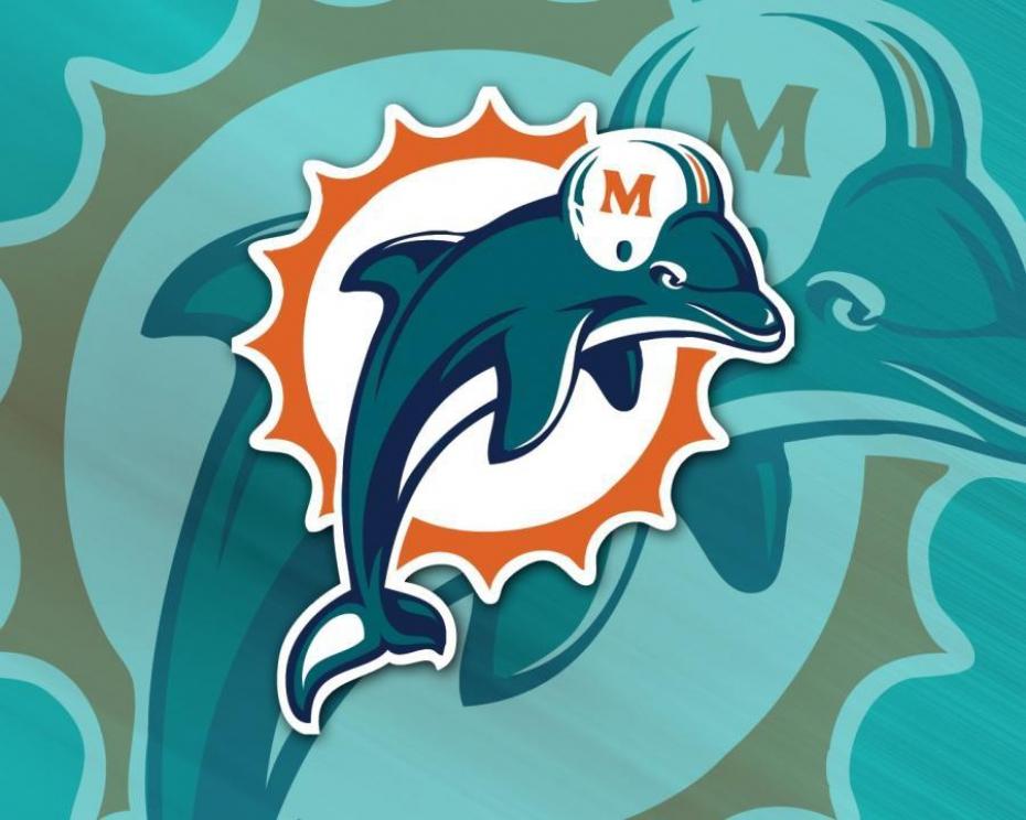 Des Soldats Am Ricains Parodient Les Cheerleaders Miami Dolphins
