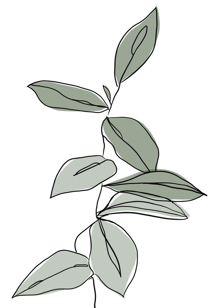 Simple Botanical Print Abstract Line Art Drawings