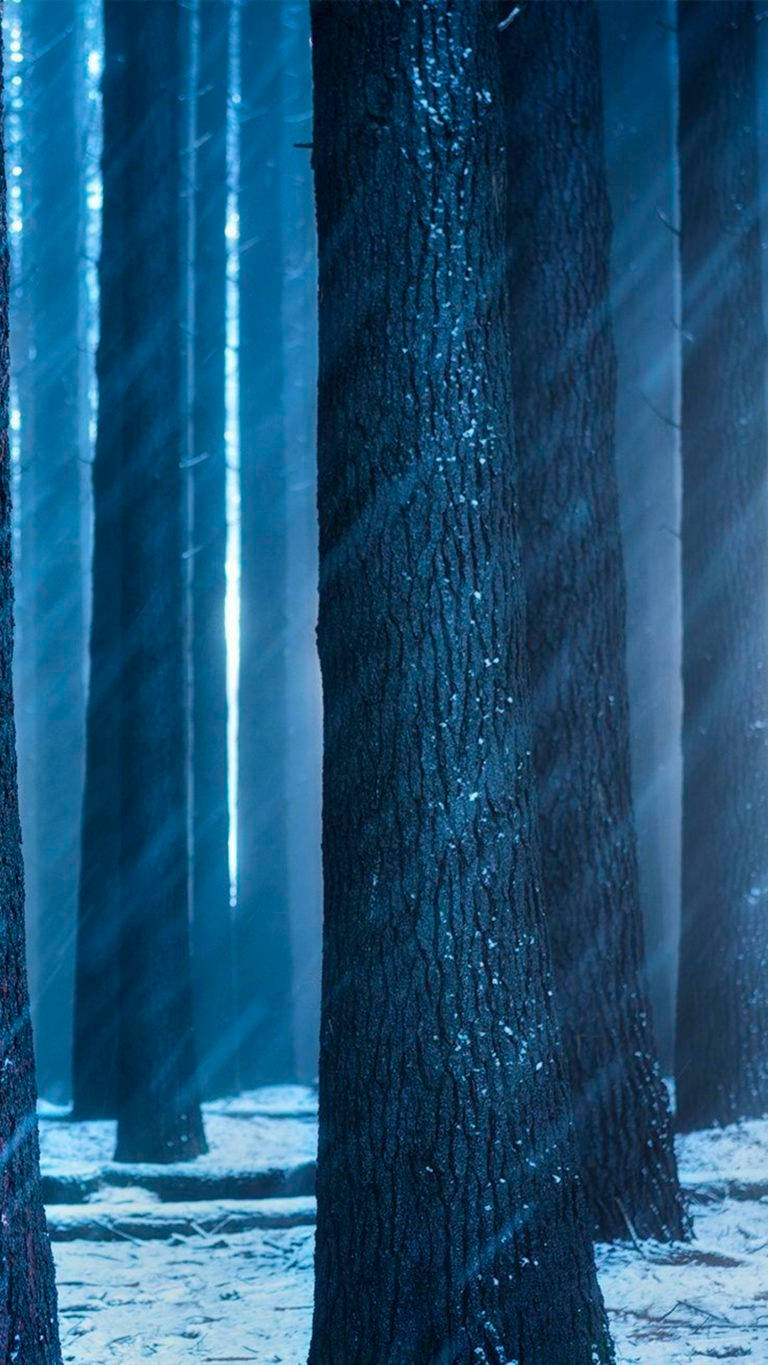 Huawei Honor Wallpaper