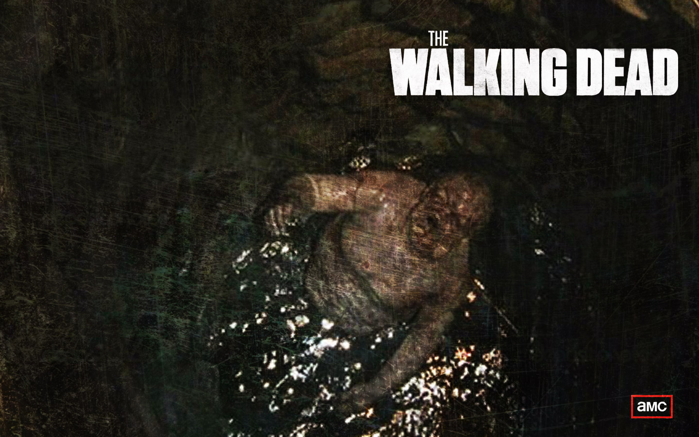 The Walking Dead Zombie Wallpaper Season Well