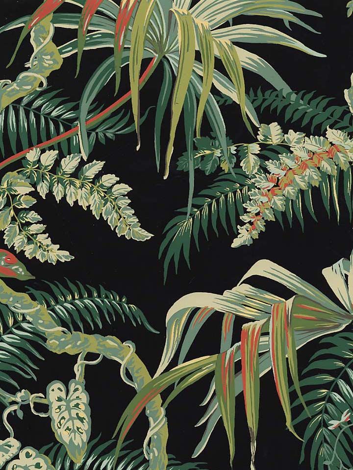 Tropical Wallpaper Get The Jungle Look  Wallsauce US