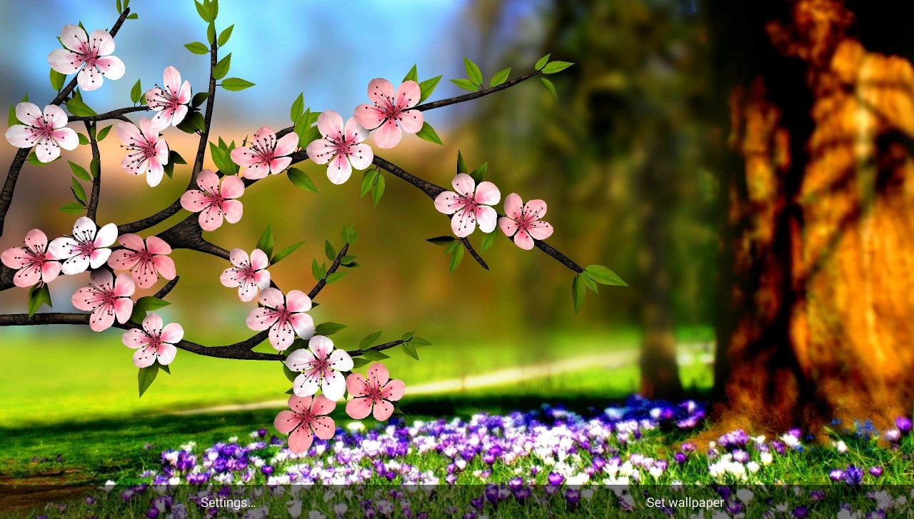 The colors of the flowers can be changed to your liking The app comes 1280x727
