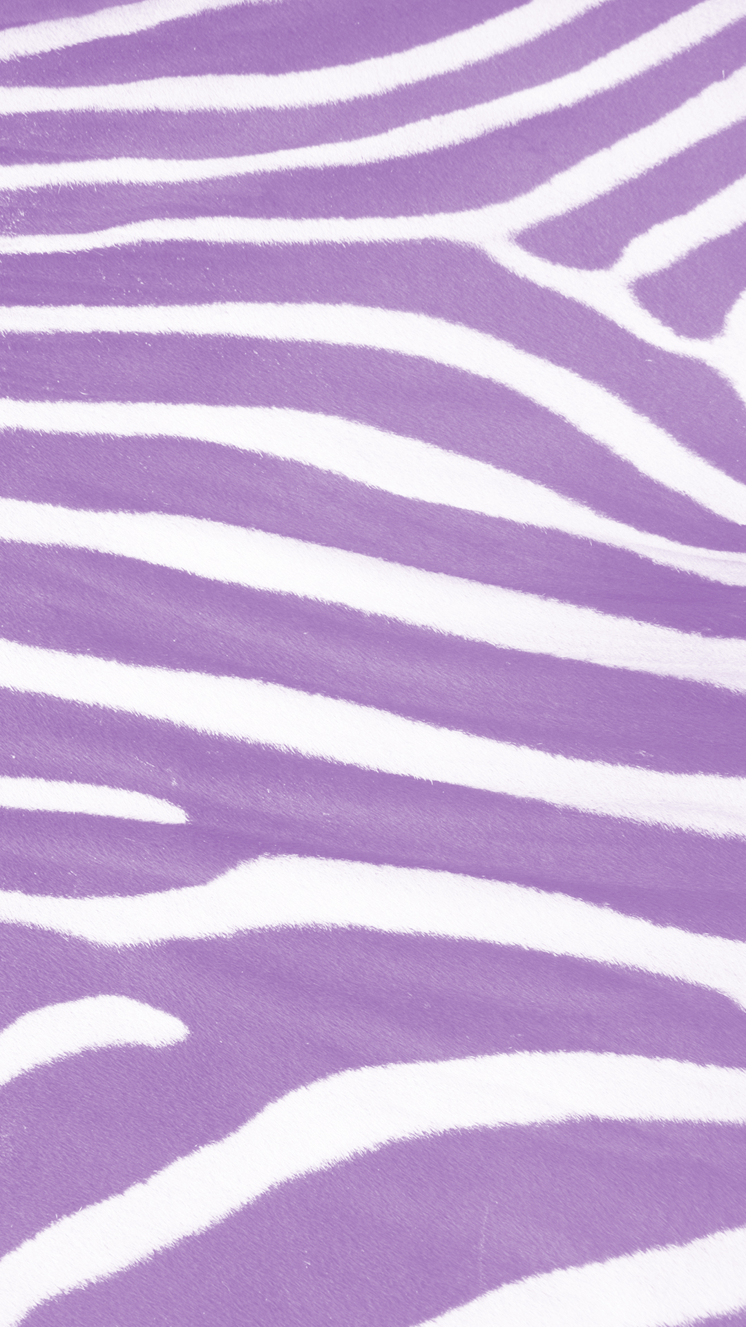 Zebra Pattern Purple Wallpaper Sc iPhone6splus