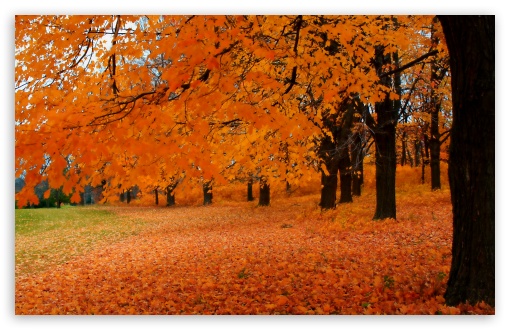 Autumn In Wisconsin HD Wallpaper For Standard Fullscreen Uxga