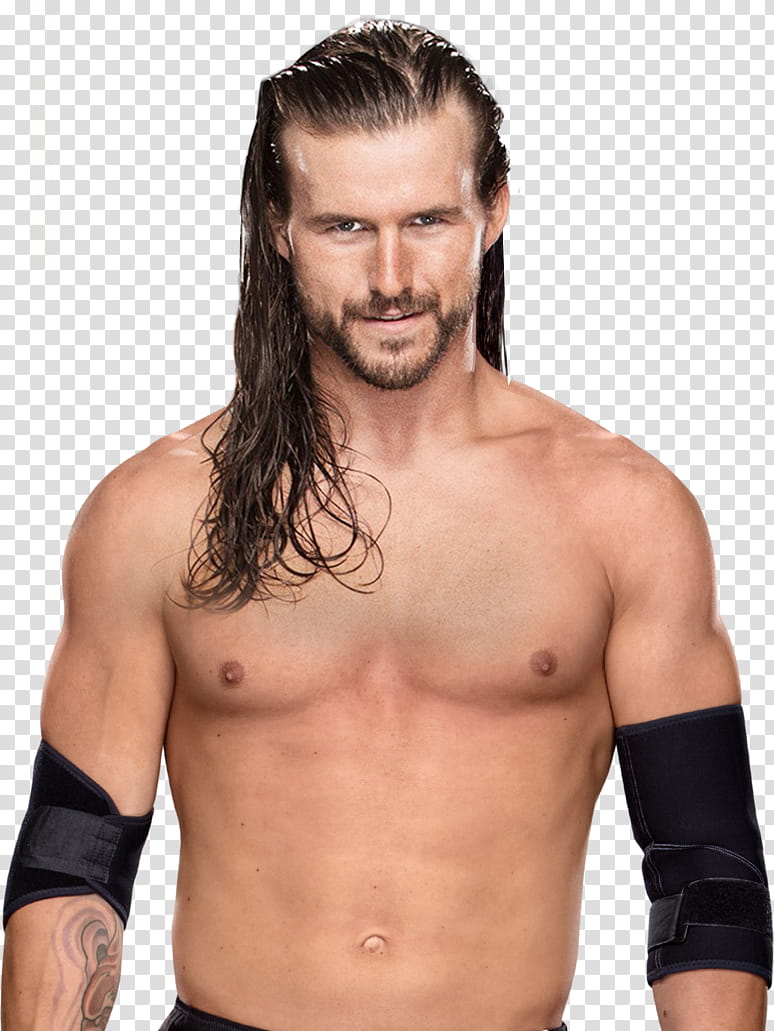 Adam Cole New Transparent Background Png Clipart Hiclipart