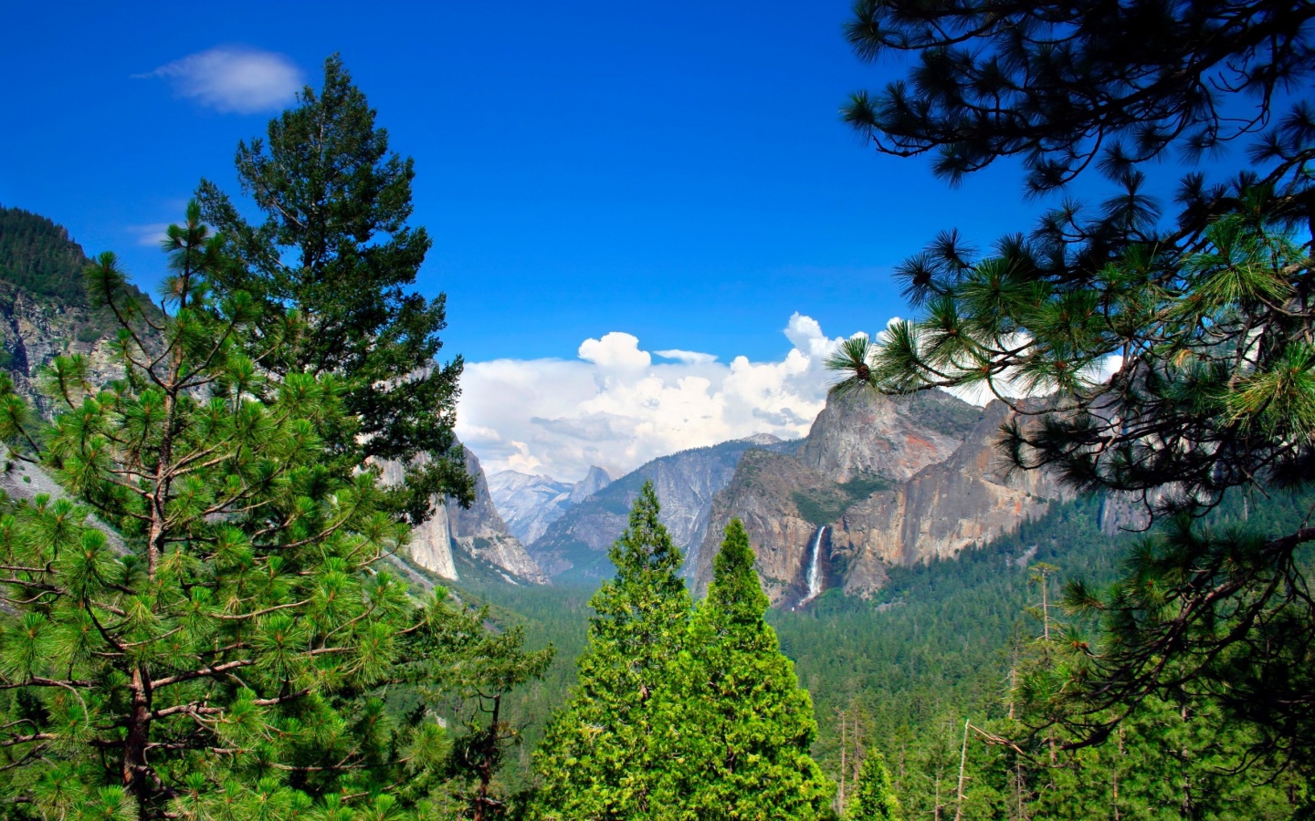 Windows Background Gorgeous Yosemite Scenery Wallpaper X