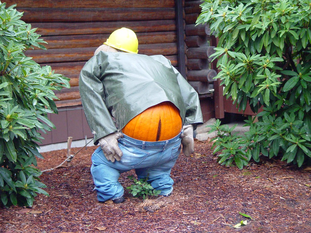 Pumpkin Mooning Since Halloween Is Almost Upon Us I Thoug