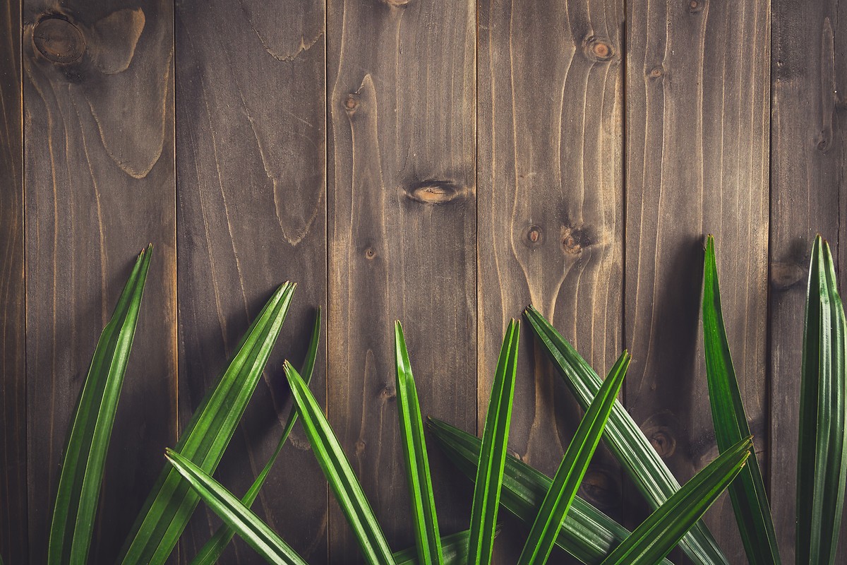 Grass With Wooden Backdrop Asus Google Nexus Wallpaper