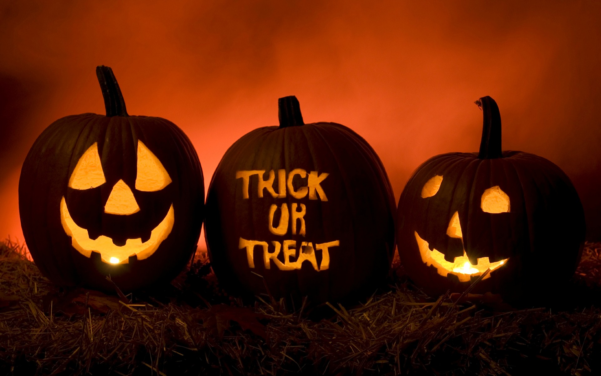 Trick Or Treat Halloween Festival HD Wallpaper Desktop Background