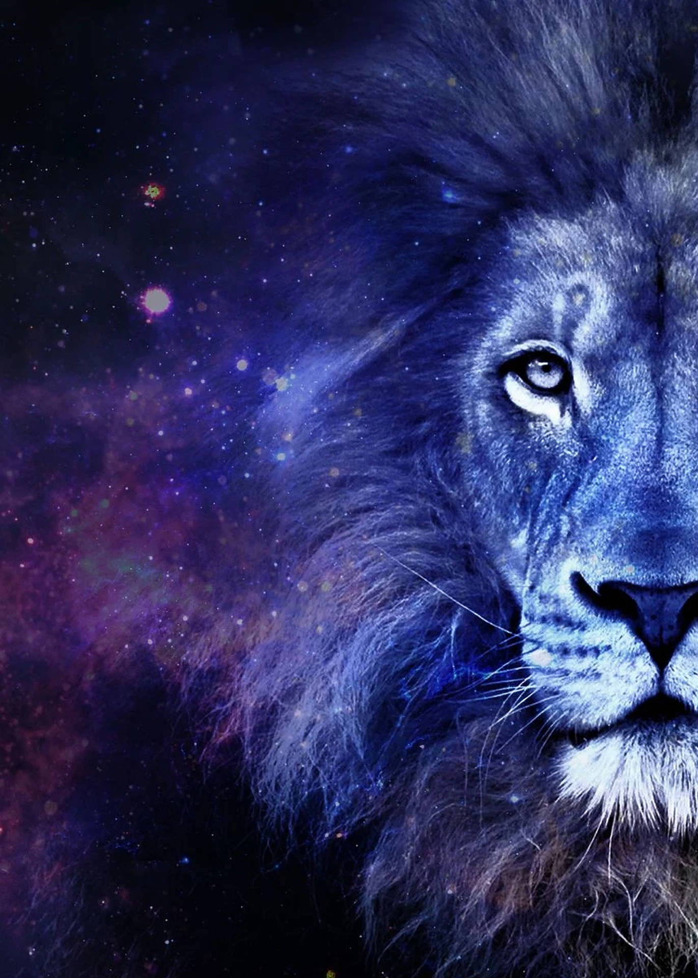 Galaxy Lion Wallpaper