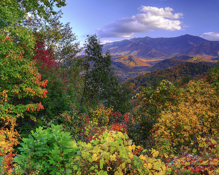 Pin Smoky Mountains National Park Tennessee Wallpaper Ing Now