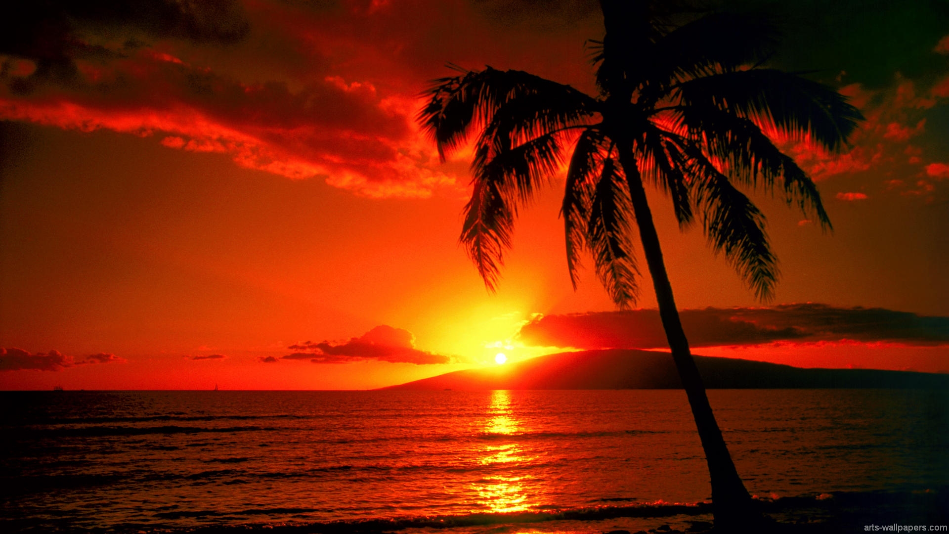 Island Sunset HD Wallpaper Tropical