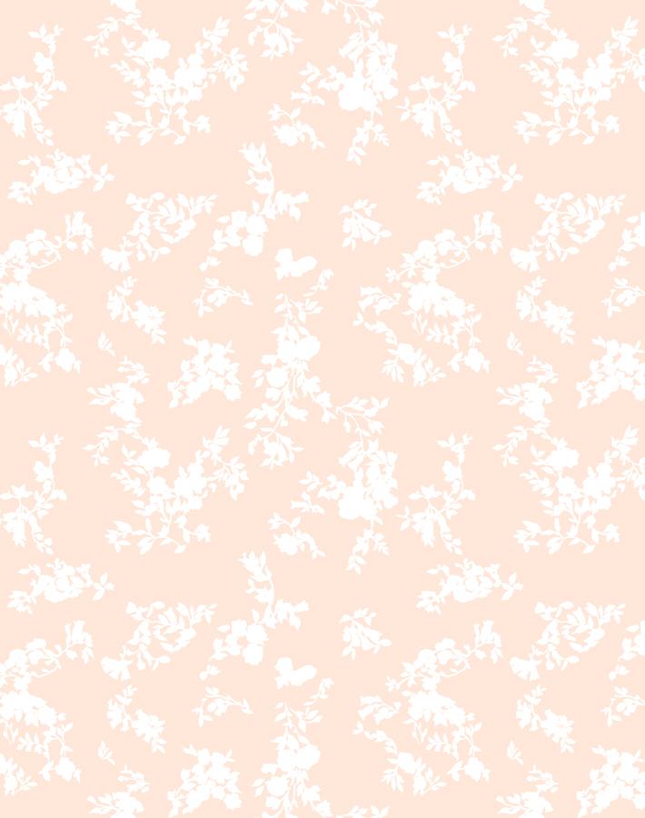 Fran Oise Floral Wallpaper By Clare V Peach