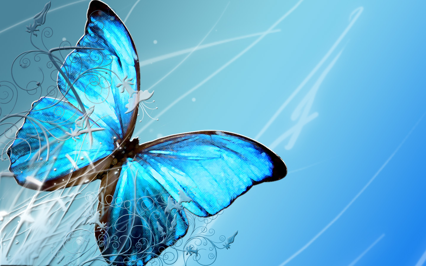 Wallpaper Blue Butterfly On Background Photo Desktop