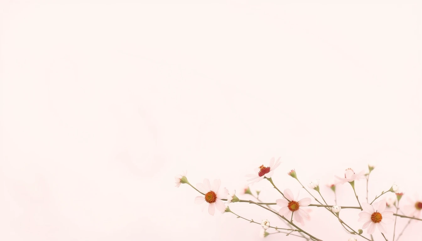 Plain Background
