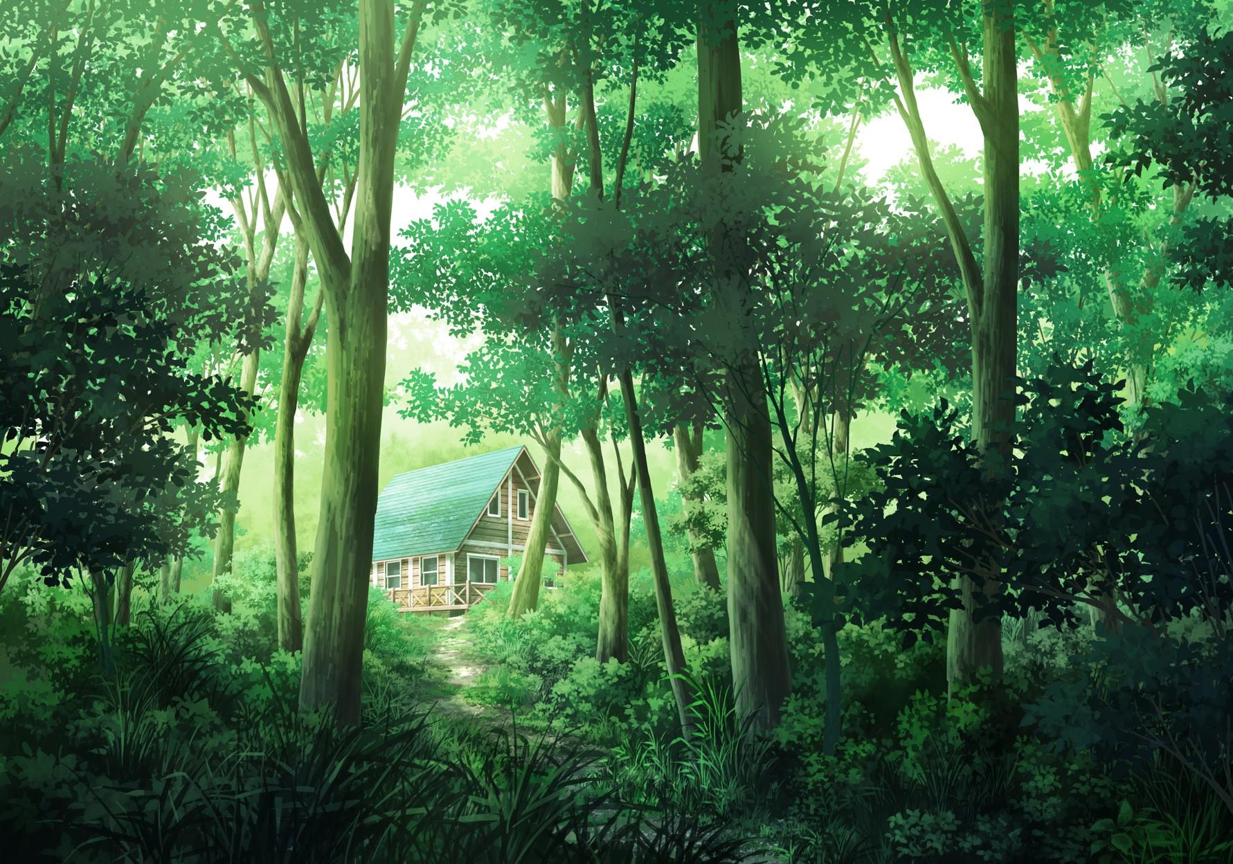 House Sakanamodoki Anime Trees Forest Rare Gallery HD