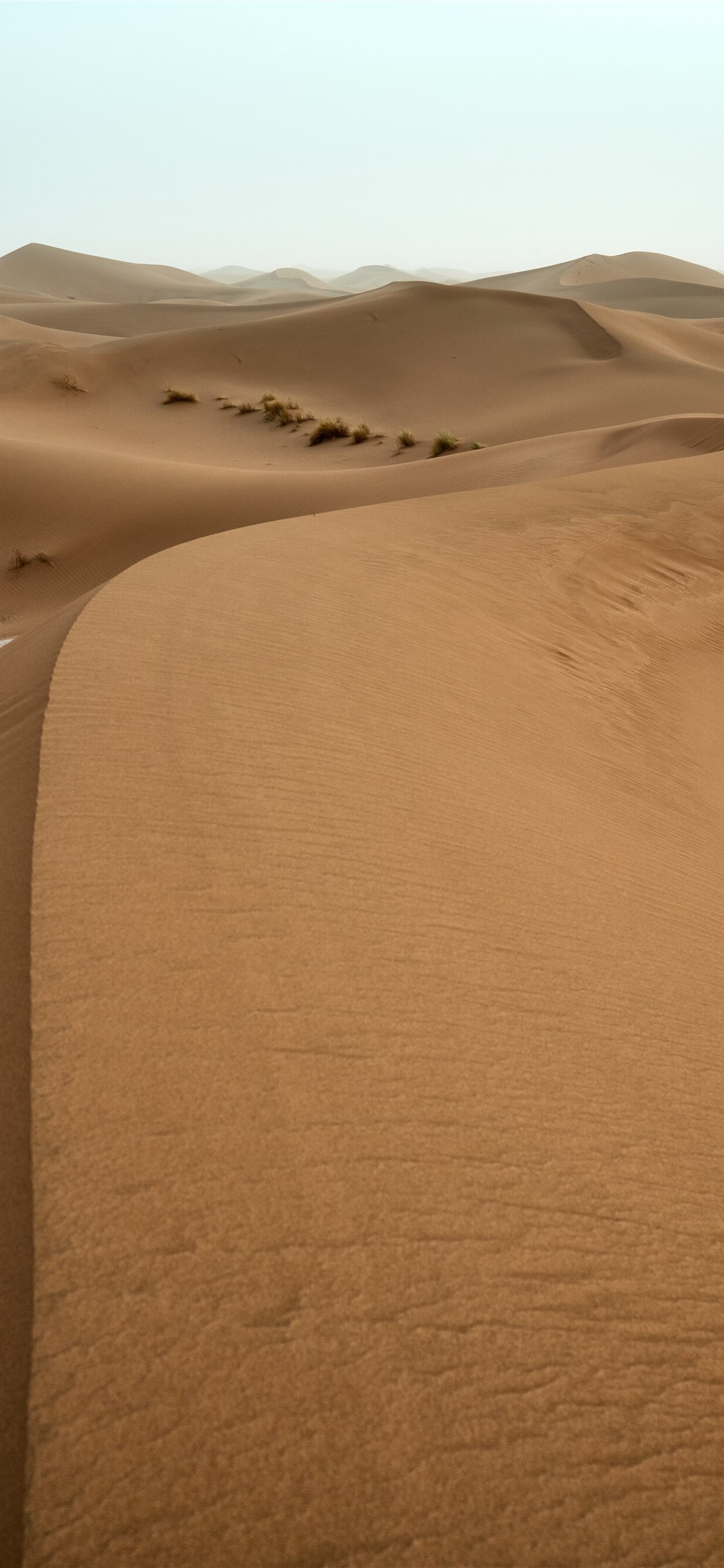 Of Desert iPhone X Wallpaper