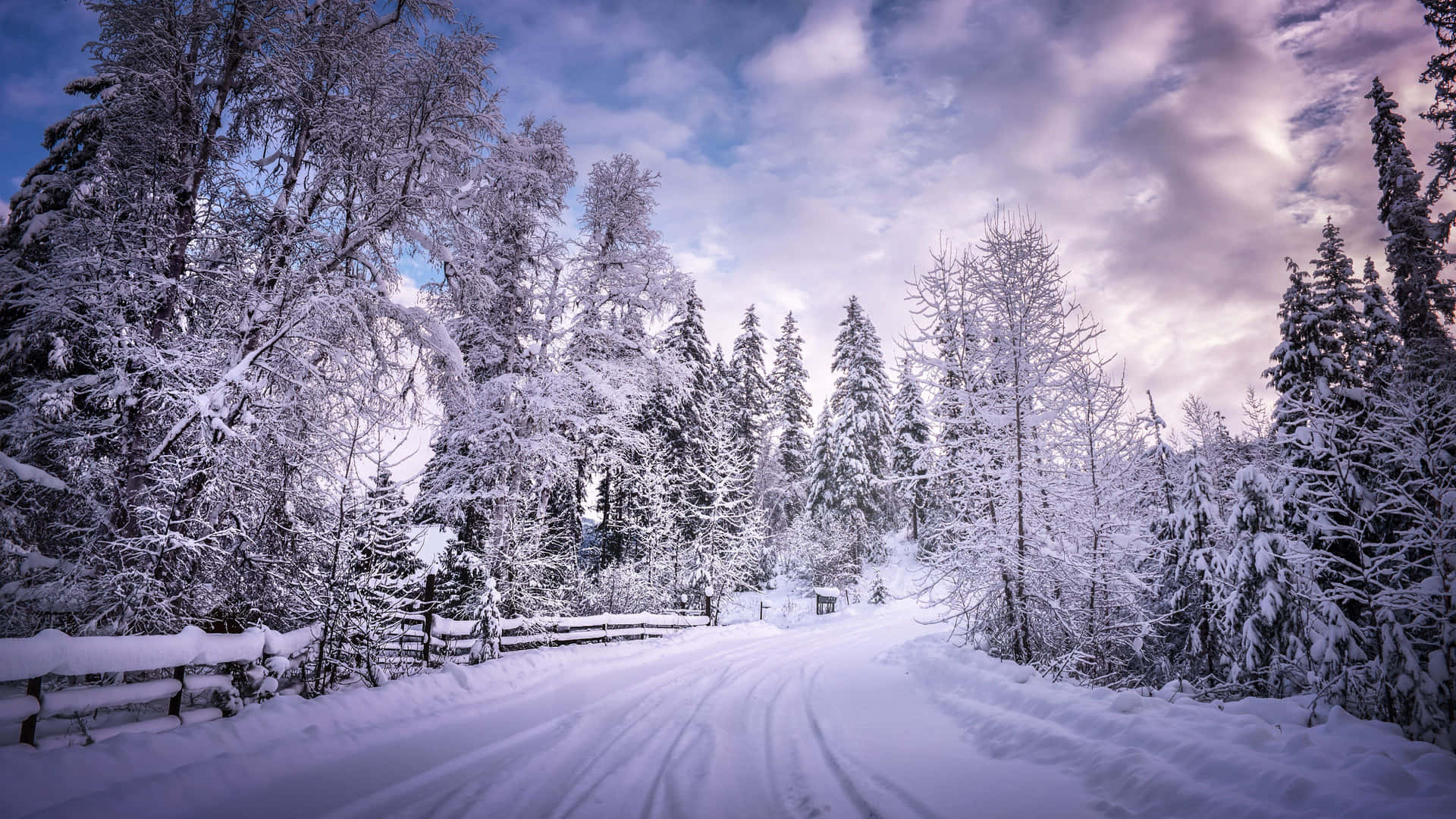 Christmas Snow Wallpaper