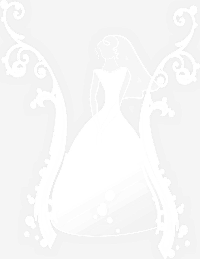 Bride Background Holiday Valentine