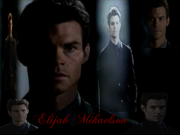 Elijah Mikaelson Wallpaper By