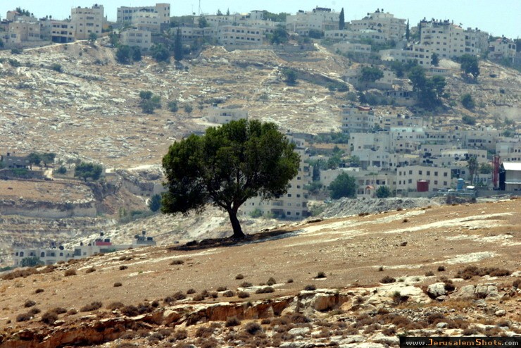 Jerusalem Photos Ein Karem Landscape