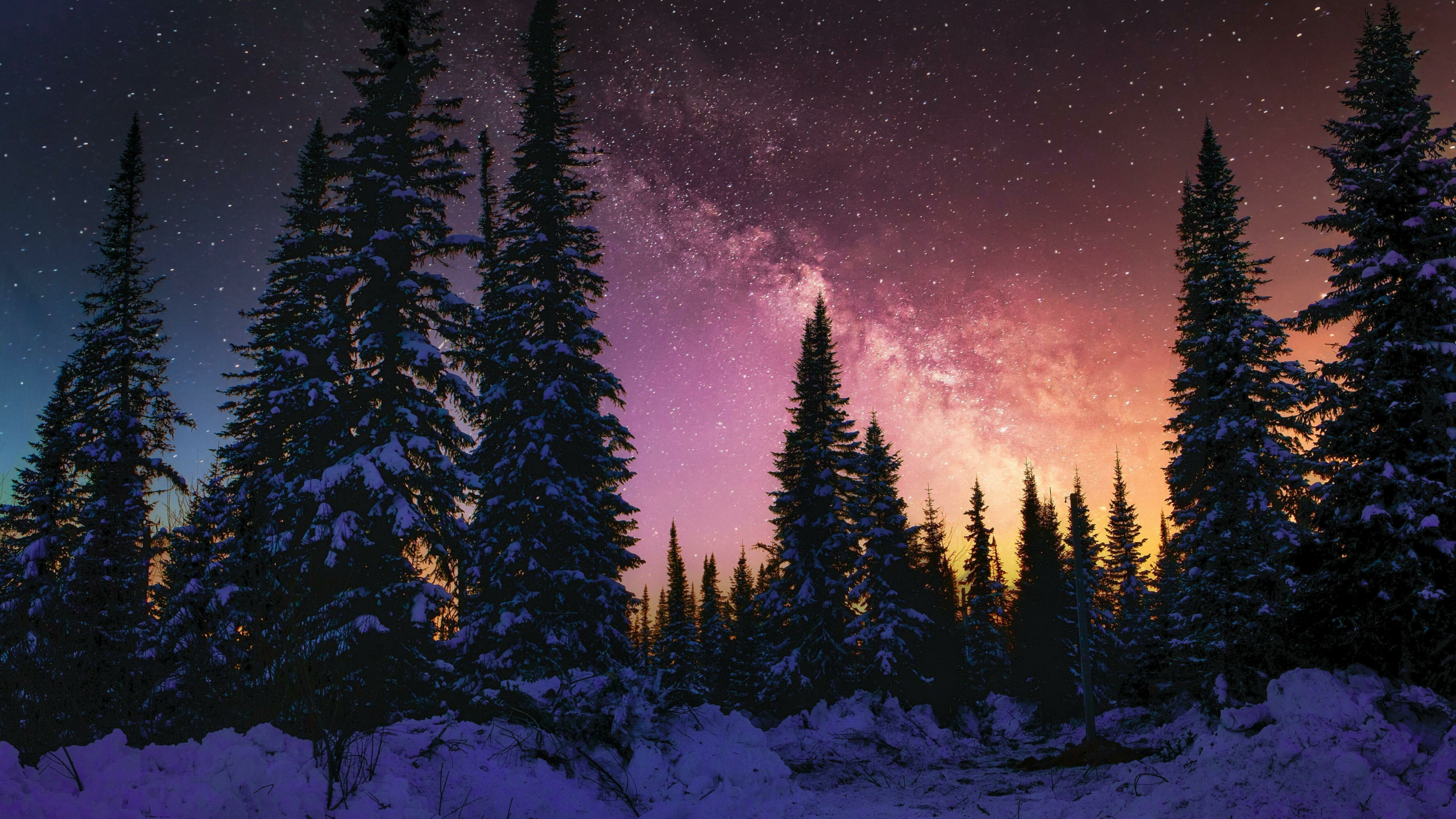 Winter Beautiful Night Forest Galaxy Nature
