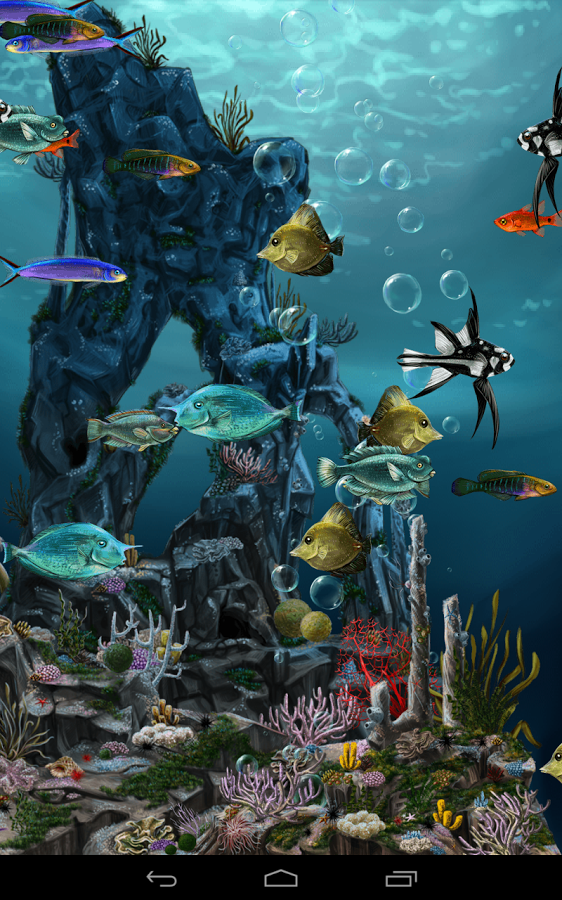 3d Underwater World Animated Wallpaper Image
